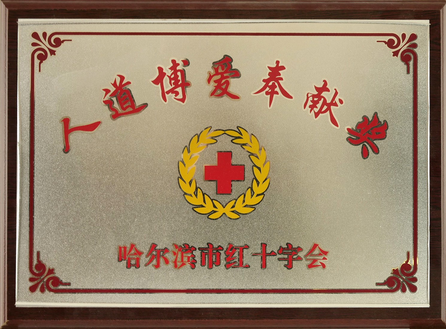 人道博愛奉獻(xiàn)獎(jiǎng)