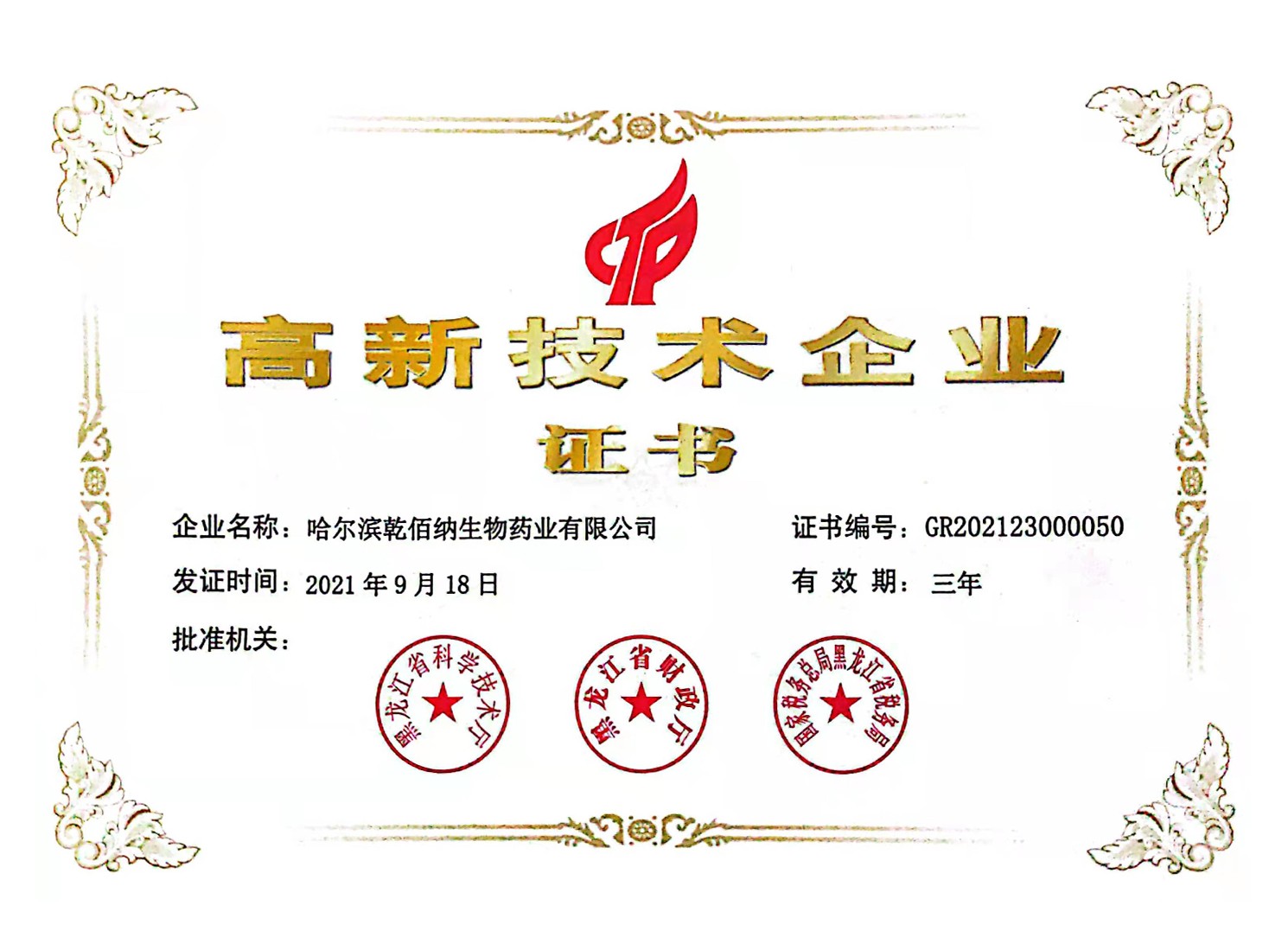 高新技術(shù)企業(yè)