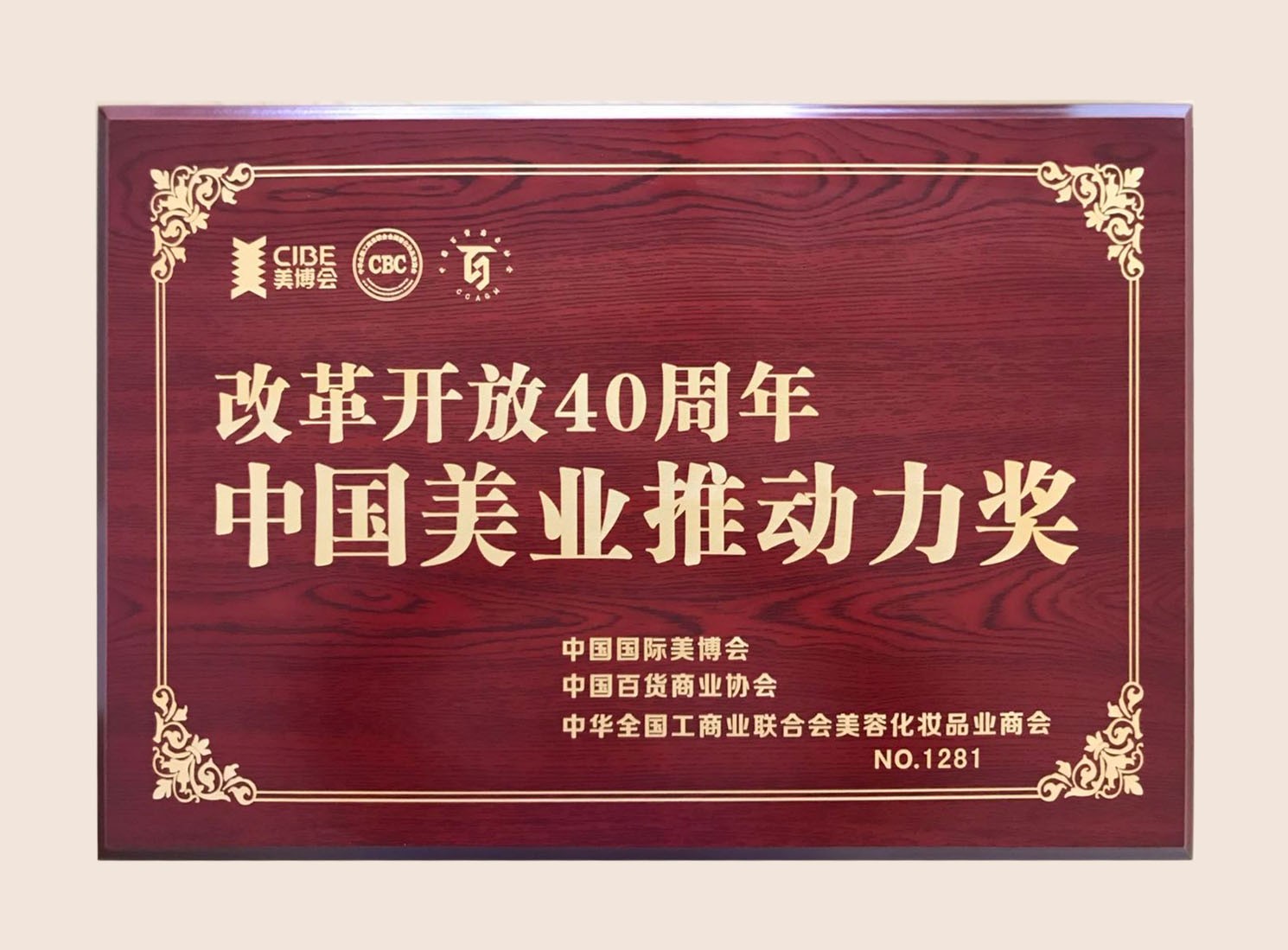 推動(dòng)力獎(jiǎng)